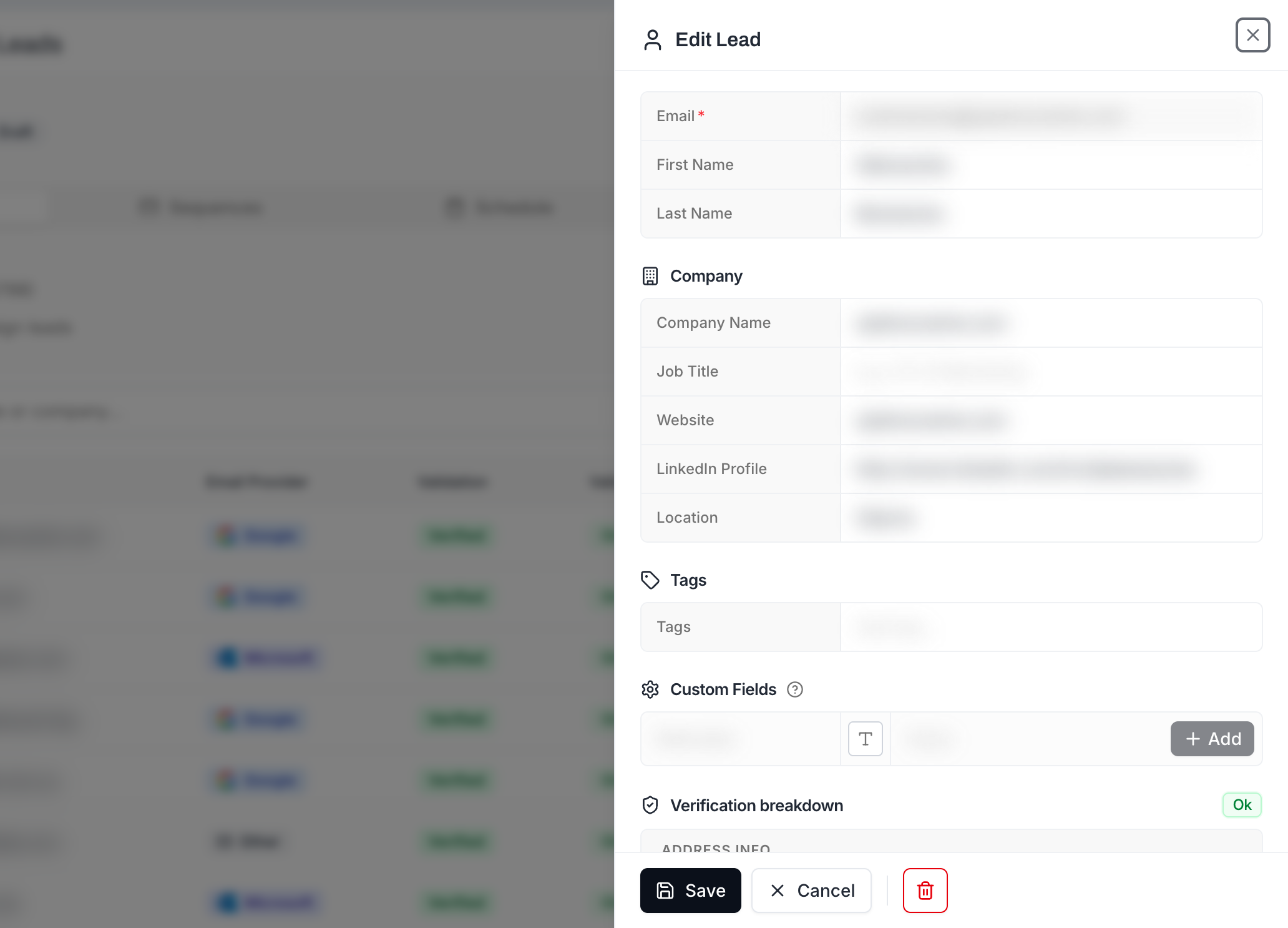 Edit Lead panel showing Email, First Name, Last Name, Company, Tags, Custom Fields, and Verification breakdown sections